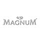 magnum-ice-cream