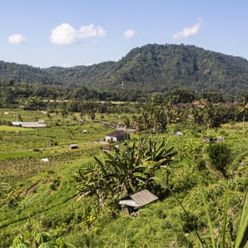 Sideman Village • Bali